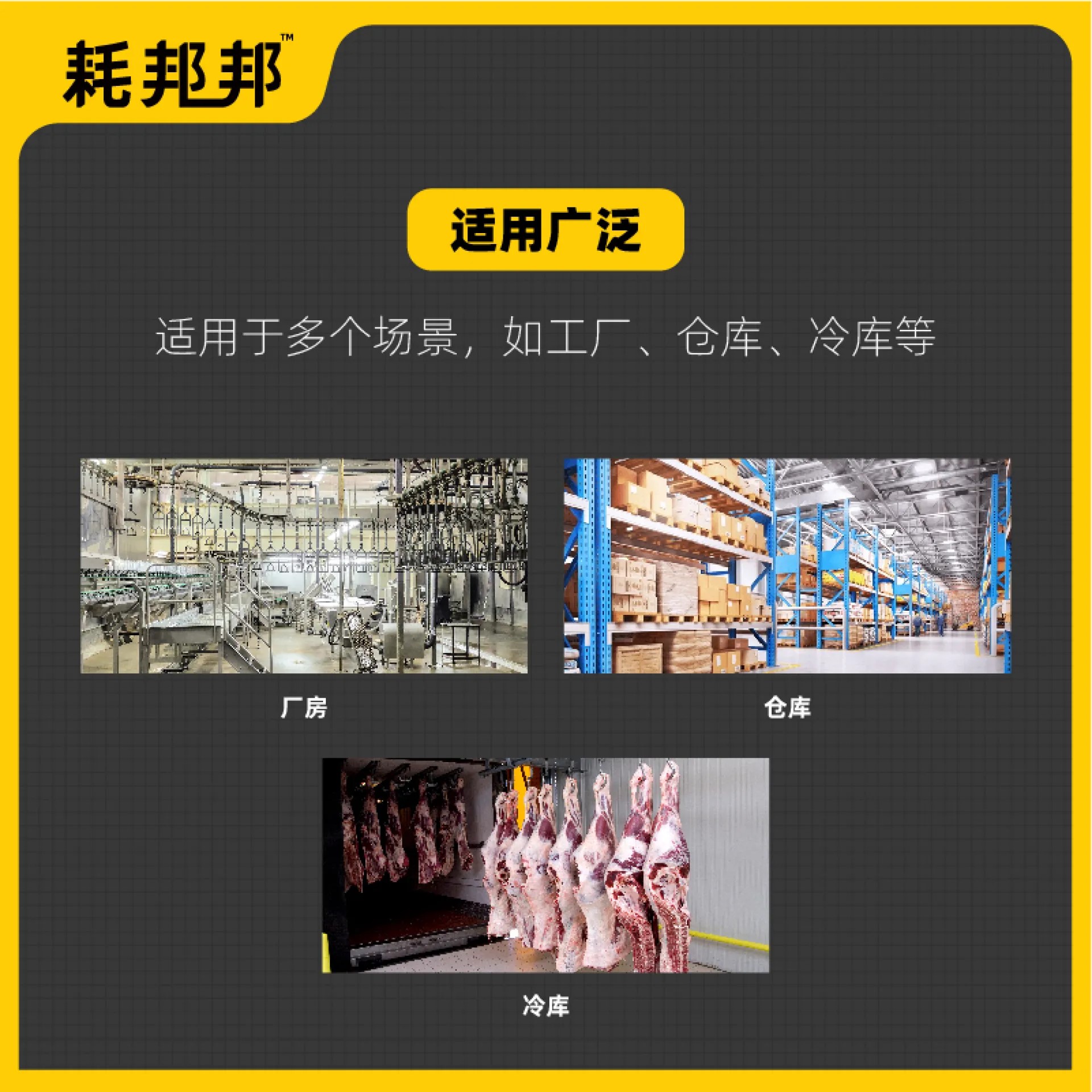 物联网系列冷库温控仪表