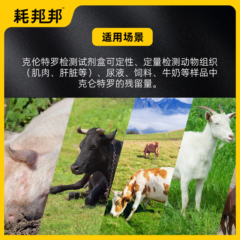 克伦特罗快速检测试剂盒