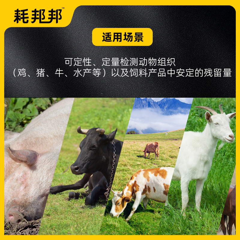 安定检测试剂盒