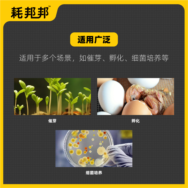 恒温培养箱