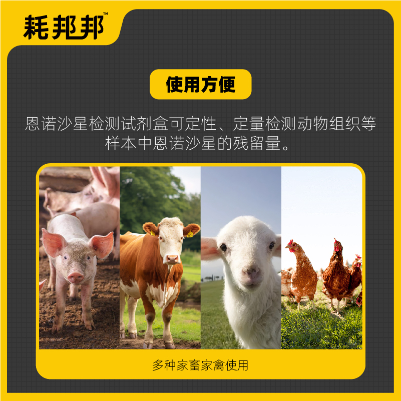 恩诺沙星快速检测试剂盒