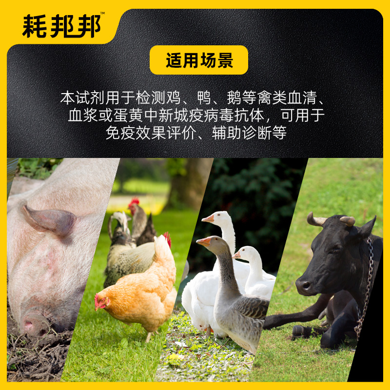 新城疫抗体检测试剂盒