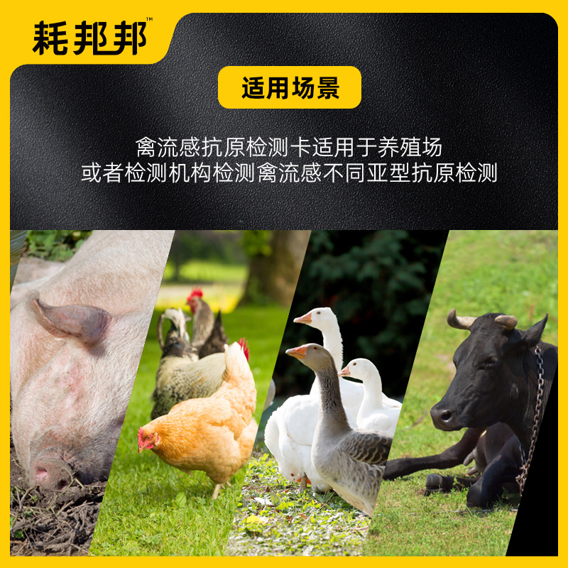禽流感抗原检测卡