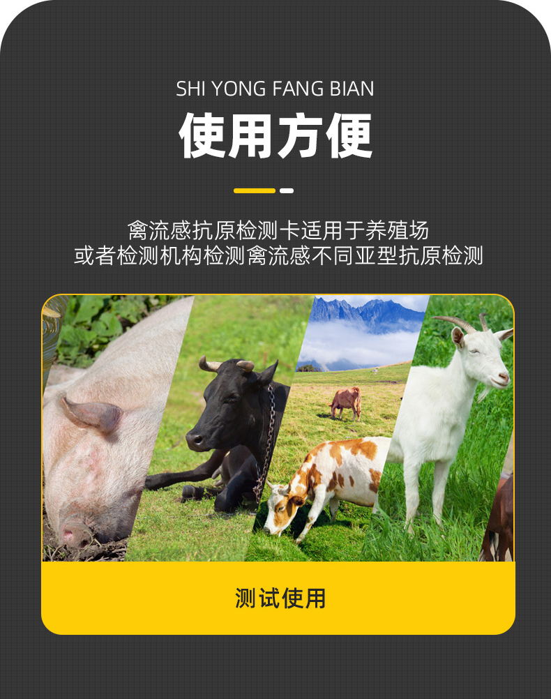 禽流感抗原检测卡