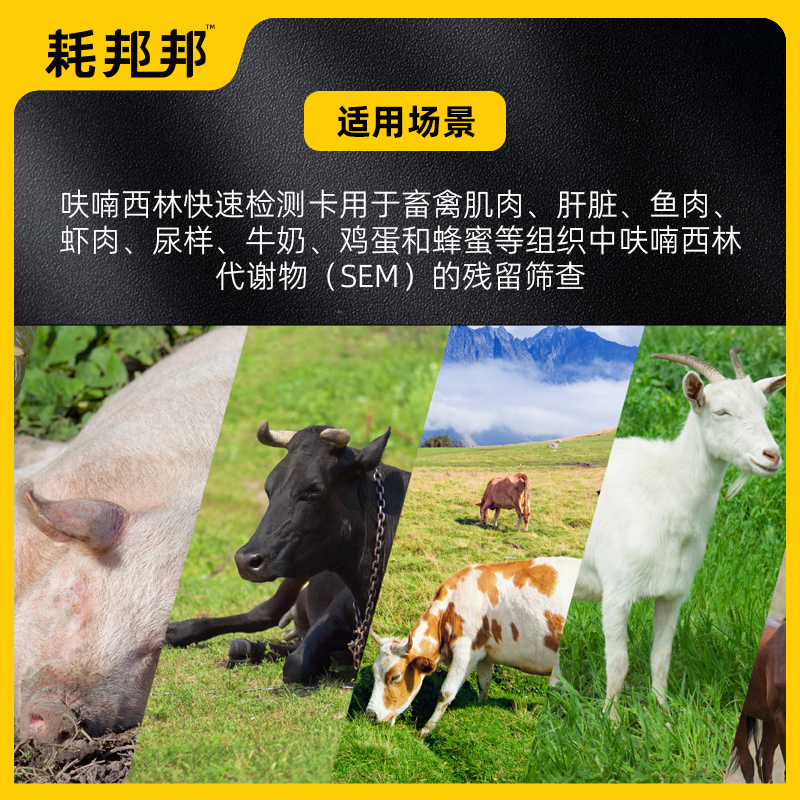 呋喃西林快速检测卡