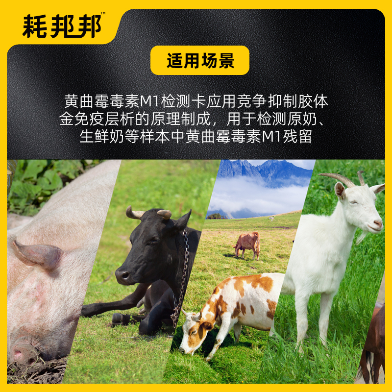 黄曲霉M1快速检测卡