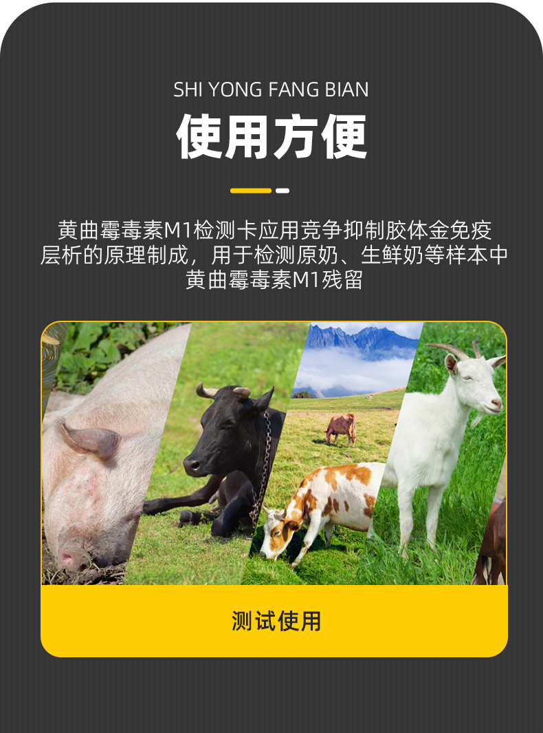 黄曲霉M1快速检测卡