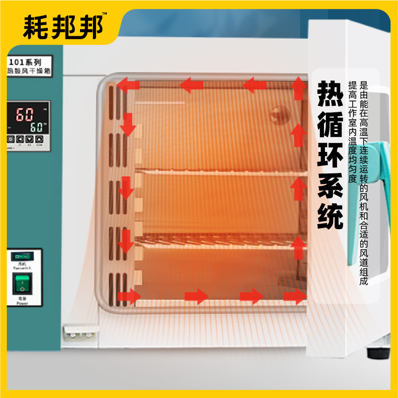 鼓风干燥箱
