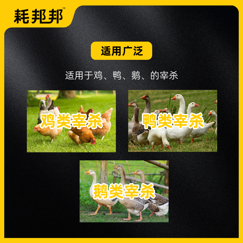屠宰轨道