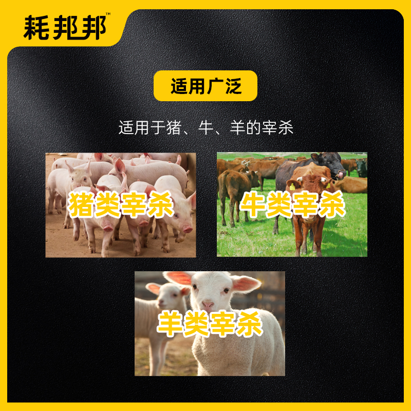 轨道滑轮吊钩