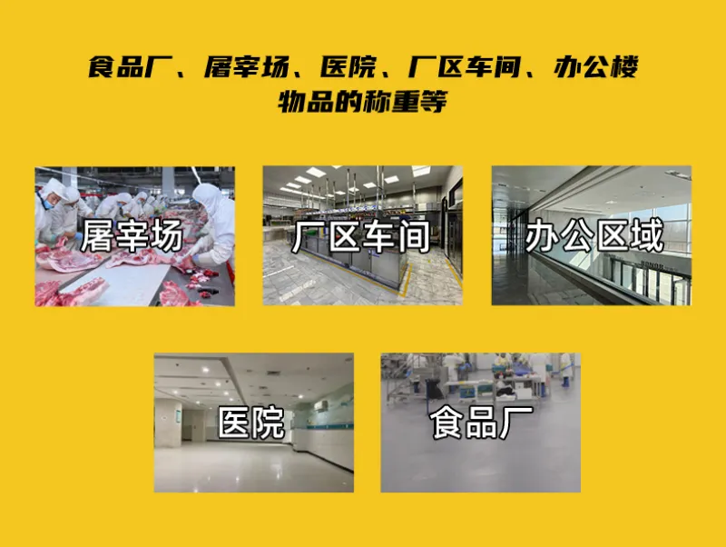 计重打印叉车秤